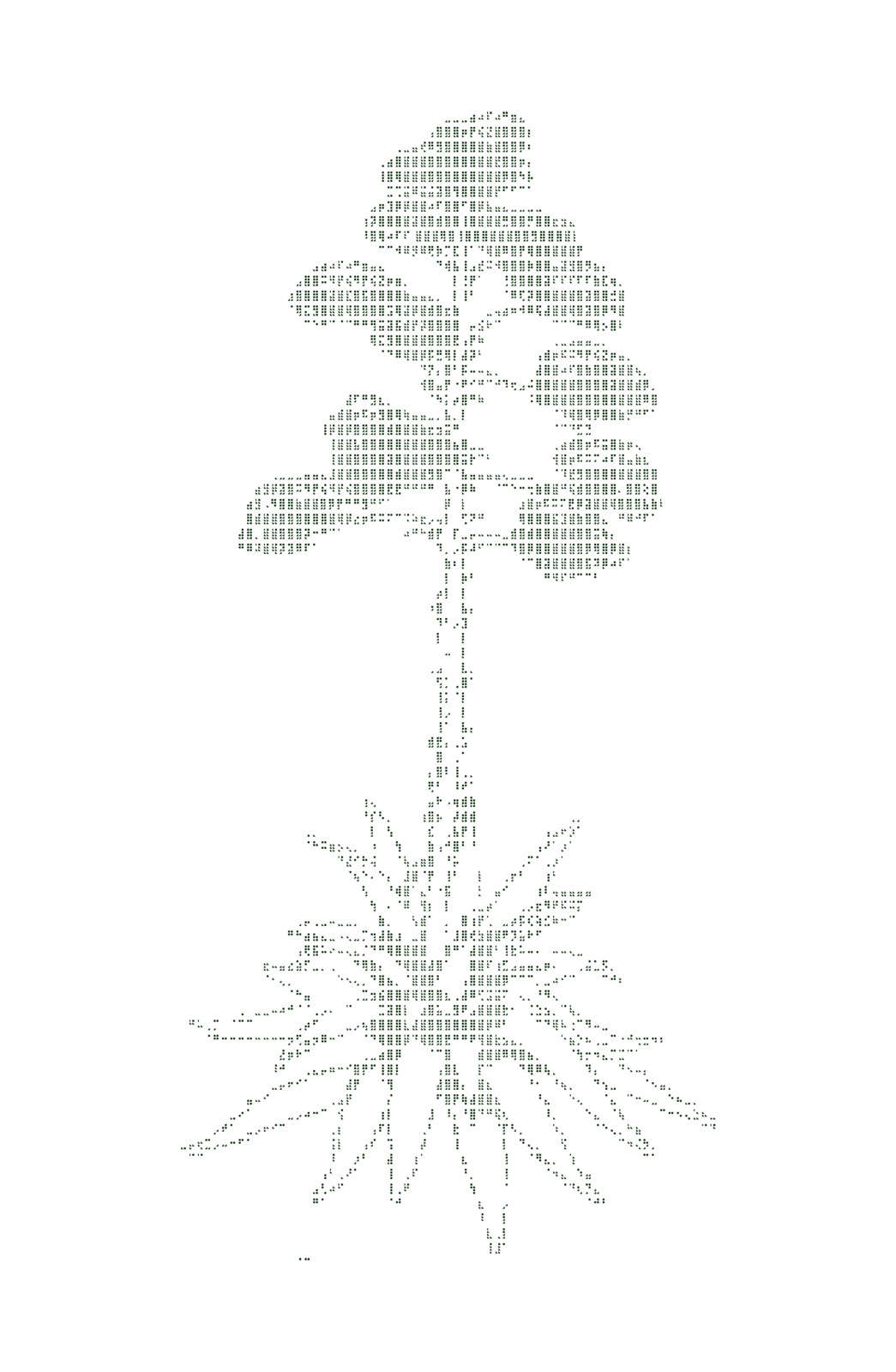 CANALES zine, agave page